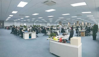 新大洲本田 厚積薄發(fā),逆勢(shì)方見功底