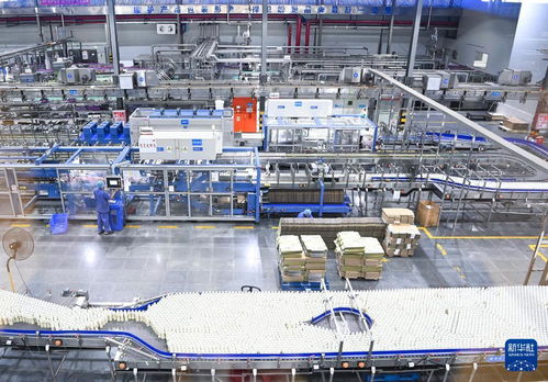 福建 向 新 逐 智 ,傳統產業長 新枝